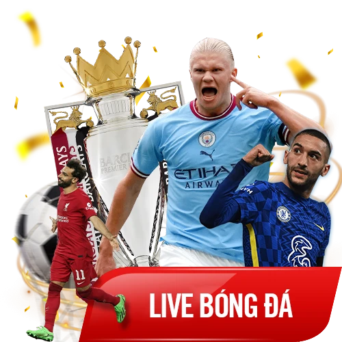 Live bóng đá